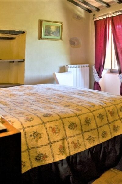 Comfort I Pulcini