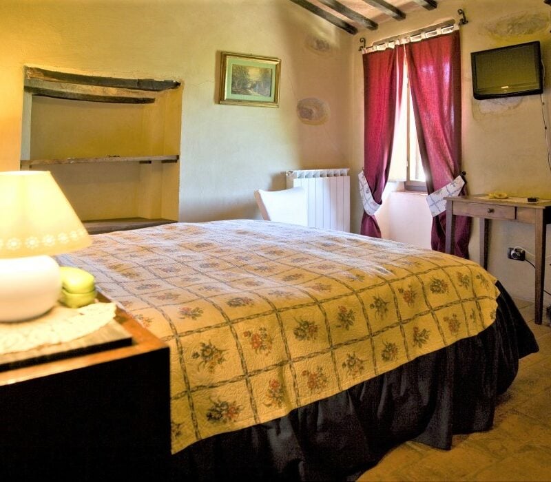 Comfort I Pulcini