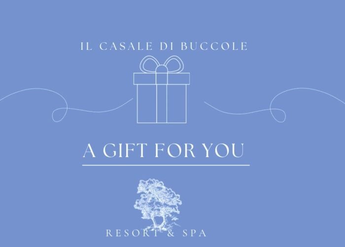 Scopri i nostri Gift Pack